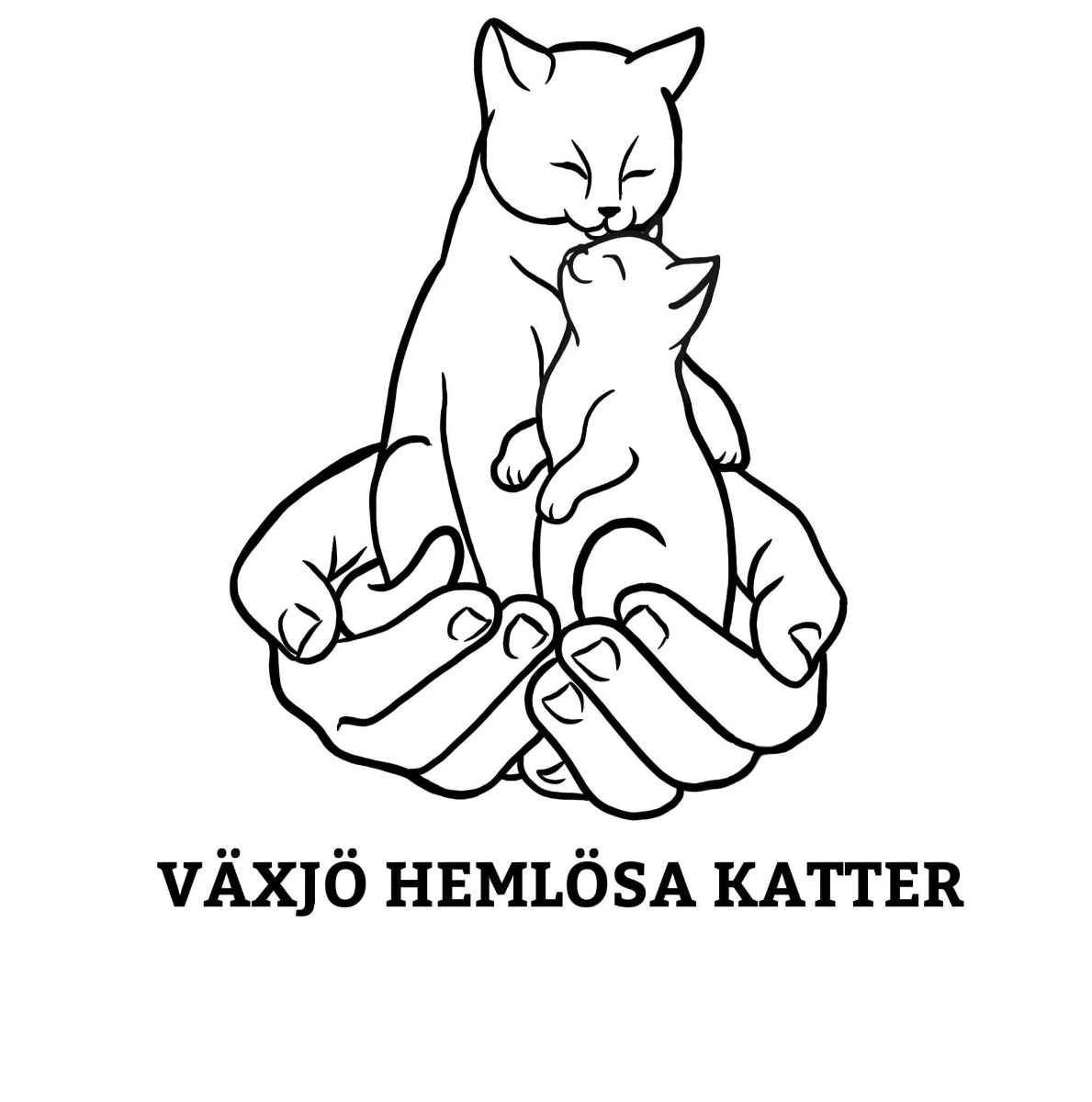 Växjö Hemlösa Katter